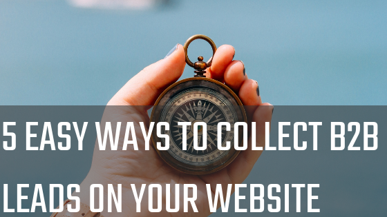 5 Easy Ways to Collect B2B Leads On Your Website